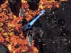 protoss_carrier_002-full