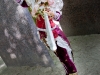 20100425_mg_8512